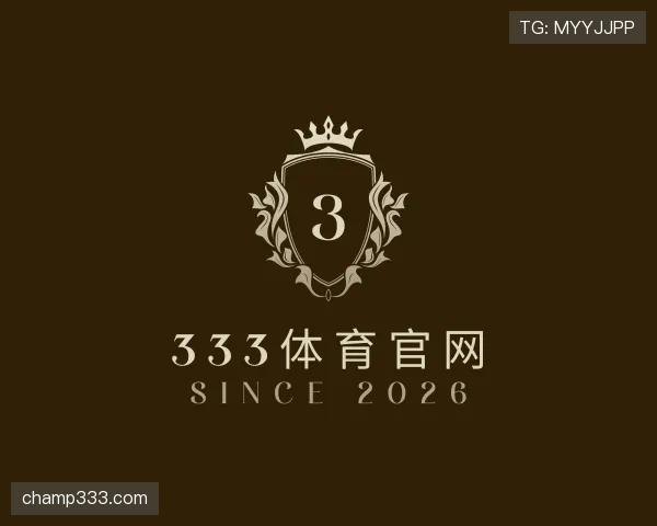介绍333体育
